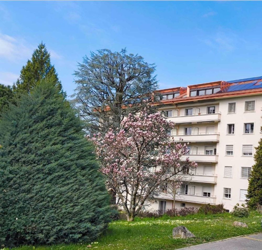Neue Ein-Zimmer-Wohnungen im Zentrum von Prilly - Bild 9