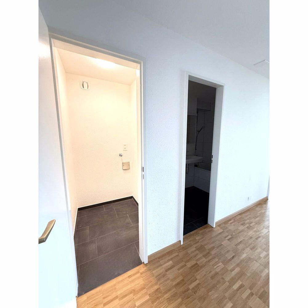 Erstvermietung nach Totalsanierung! 3.5-Zimmerwohnung sucht Mieter - Reduit