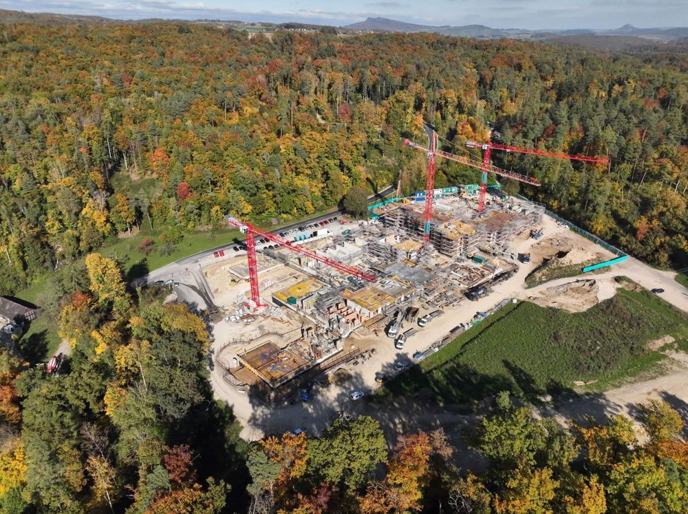 MEINE WALDLICHTUNG, MEIN GARTEN, MEIN ZUHAUSE: WALDSTADT IM PANTLI - Bild 2