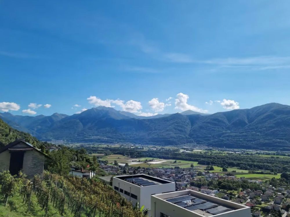 Appartamento 3.5 locali con giardino, nuova costruzione - Bild 6