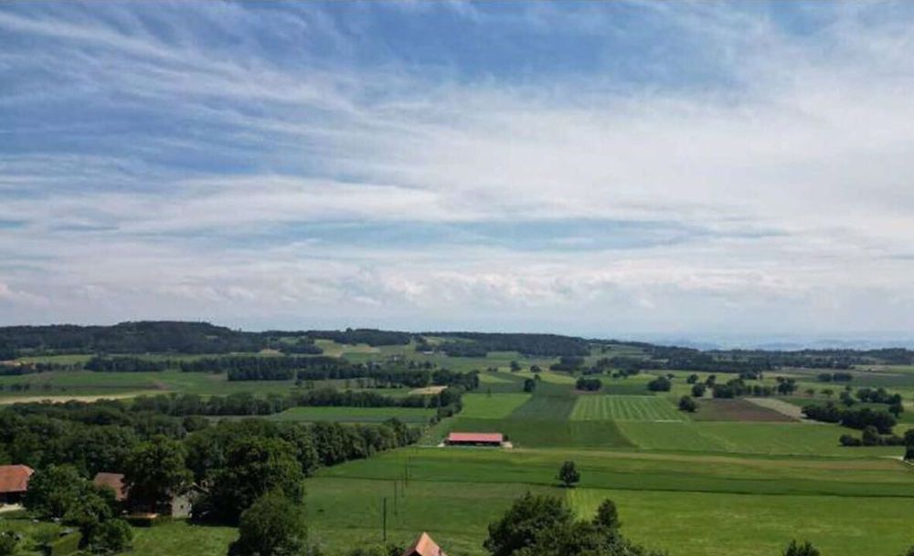 Neues Einfamilienhaus - Ausstattung nach Wahl - Bild 1
