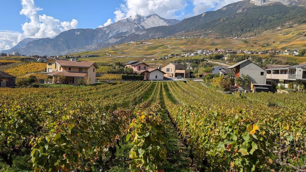 Vuisse (Savièse) – Attika 3.5 Zimmer, voll Süden, freie Sicht und hohe Deckenhöhe - Bild 5