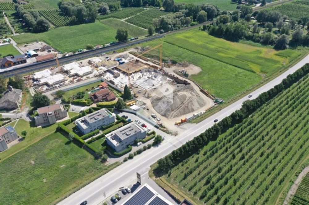 3.5 Zimmer im Erdgeschoss zur Süd-West-Ausrichtung - Bild 3