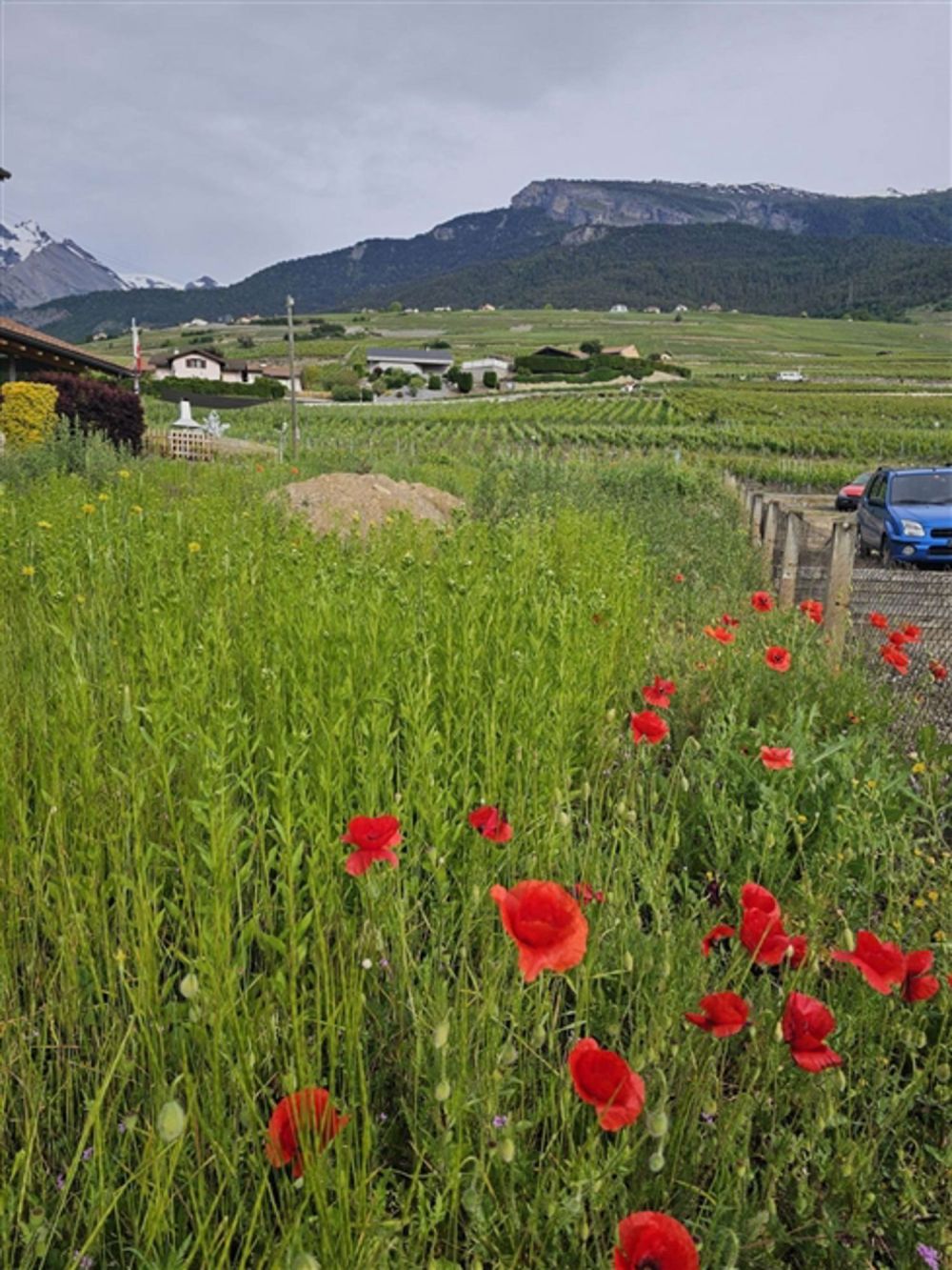 Anlageimmobilie - 4 x 2.5 Zimmer - Bild 3