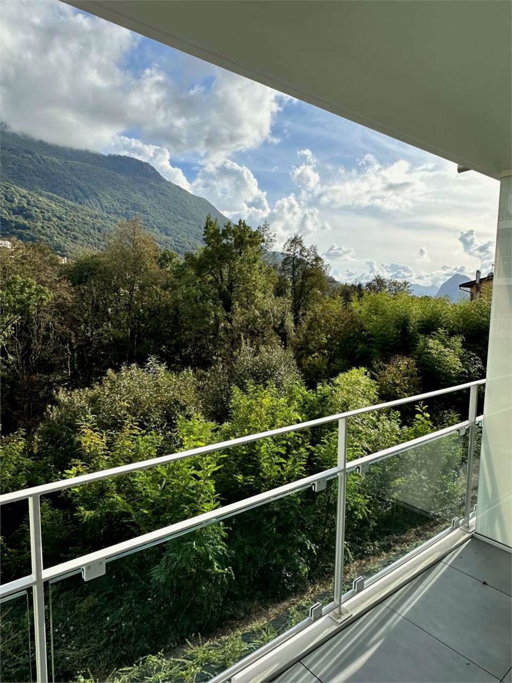 NUOVO APPARTAMENTO DI 2.5 LOCALI NEL VERDE - Bild 2