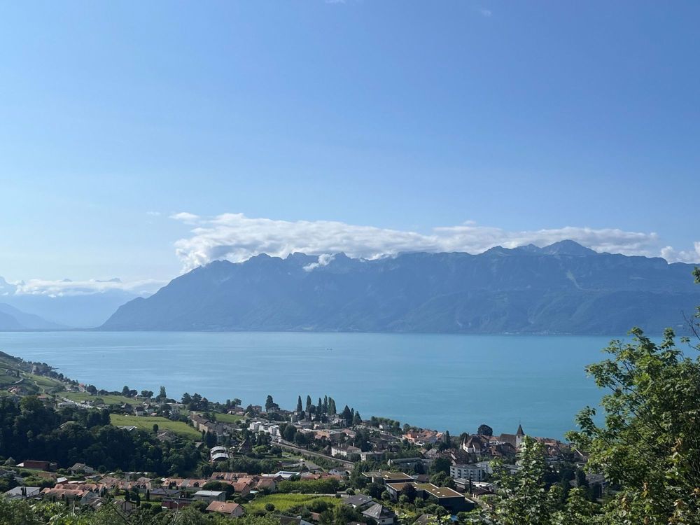Villa in Lutry mit atemberaubendem Blick auf den See und die Berge - Bild 5