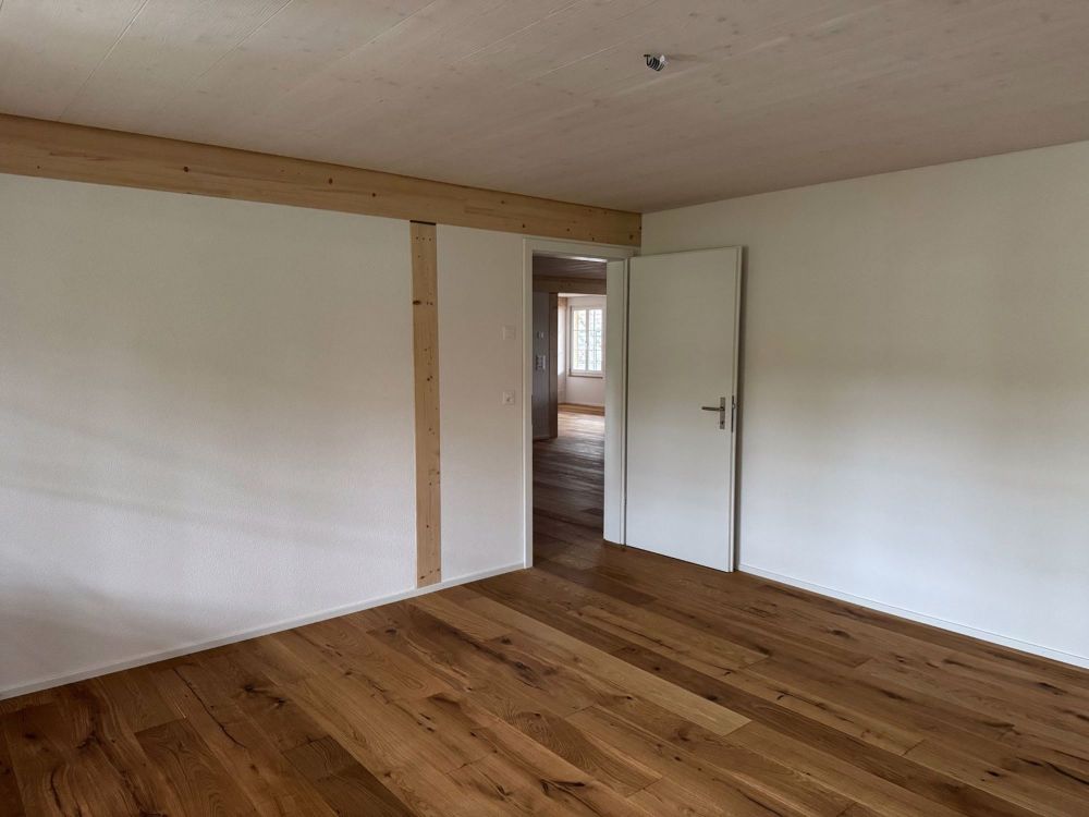 Frisch renovierte grossräumige Familienwohnung - Bild 4