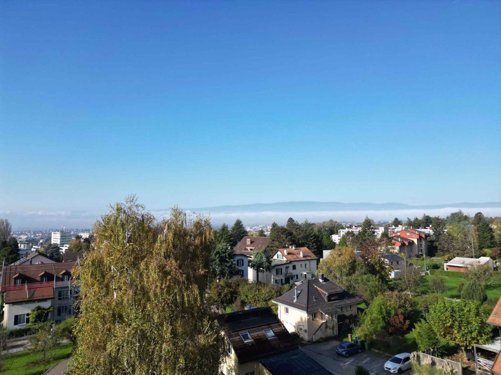 LETZTES WOHNUNGSPAKET: Neues MINERGIE-Attikapartment mit Panoramablick - Bild 12