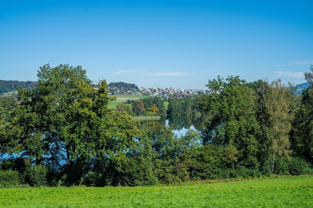 Platz für die ganze Familie - Reiheneinfamilienhaus "am-wiberg.ch" - Bild 6