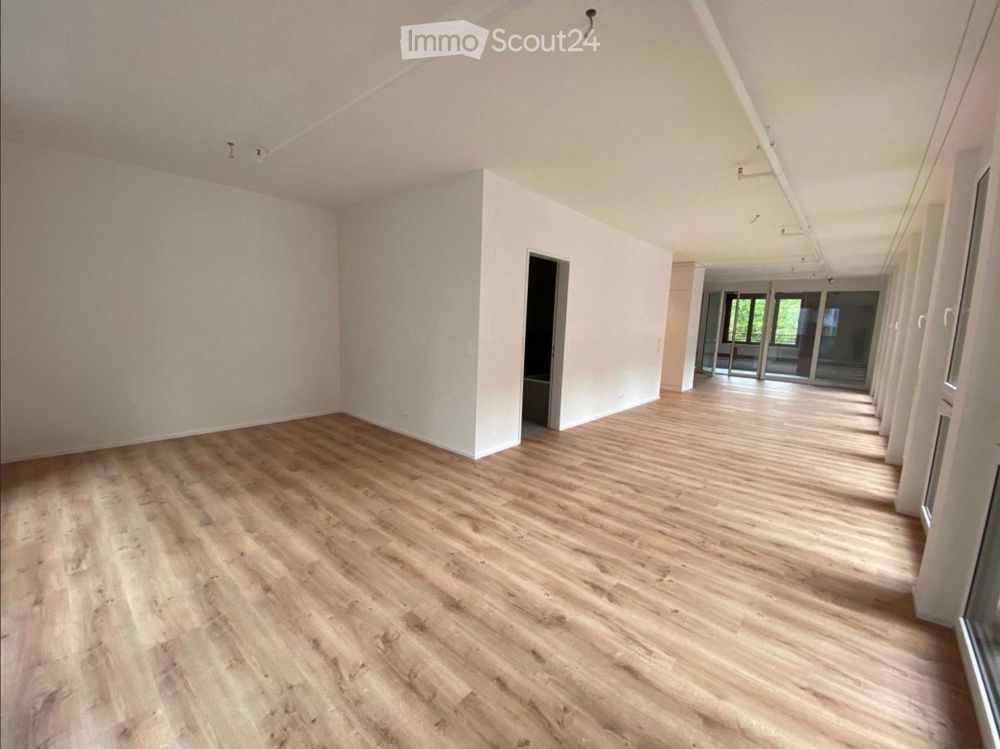 79m2-Loft plus Loggia, in Schaffhausen - Bild 3