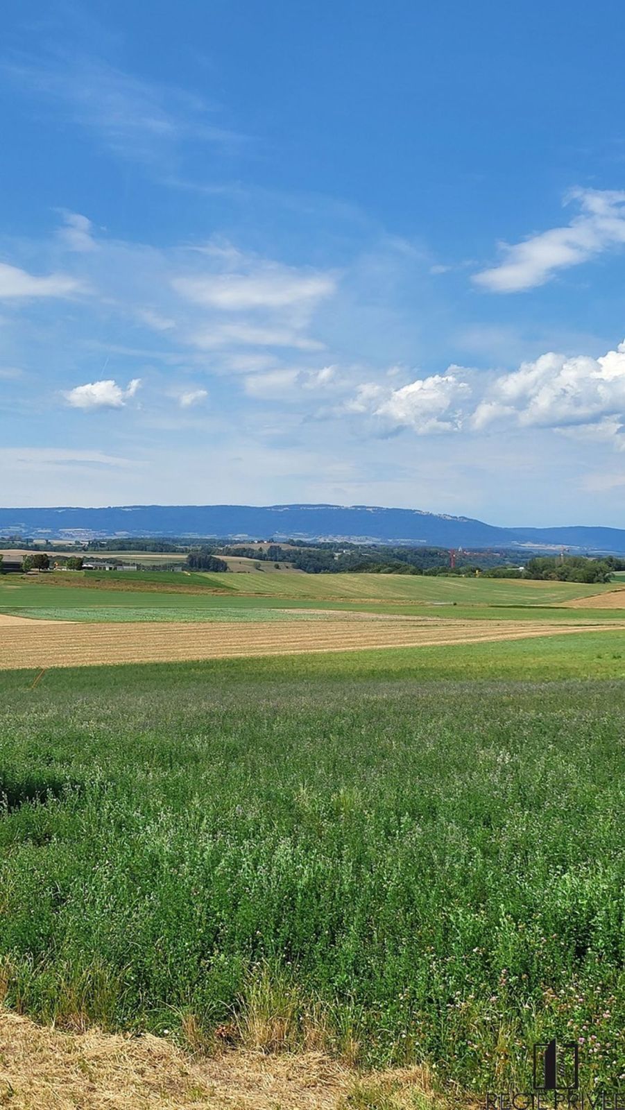 Wohnung mit Charakter und Garten mit malerischem Blick - La propriété borde la campagne