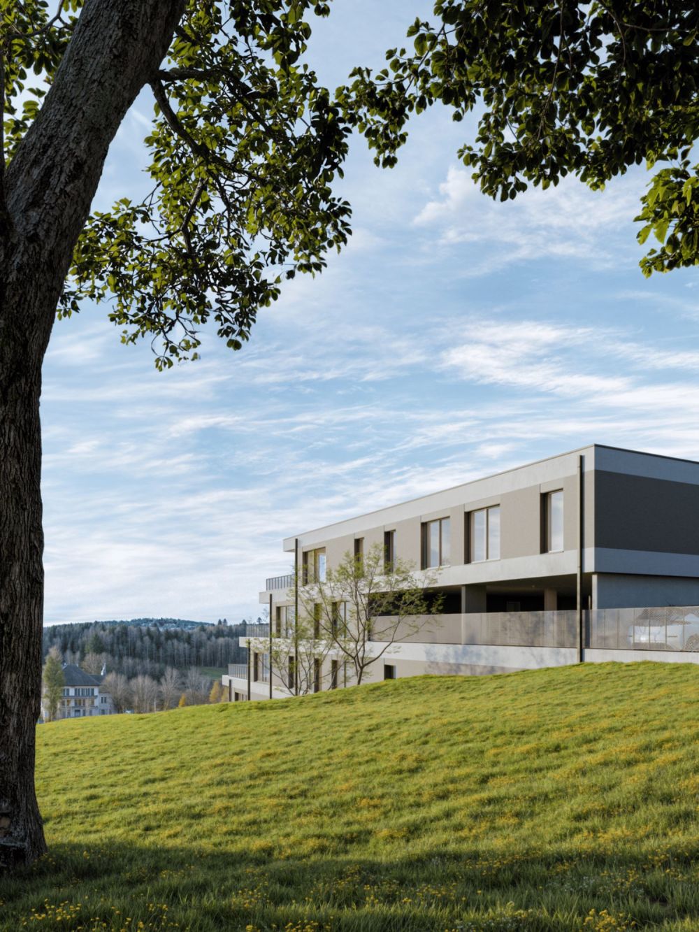 Dachterrasse-Wohnung - Bild 7