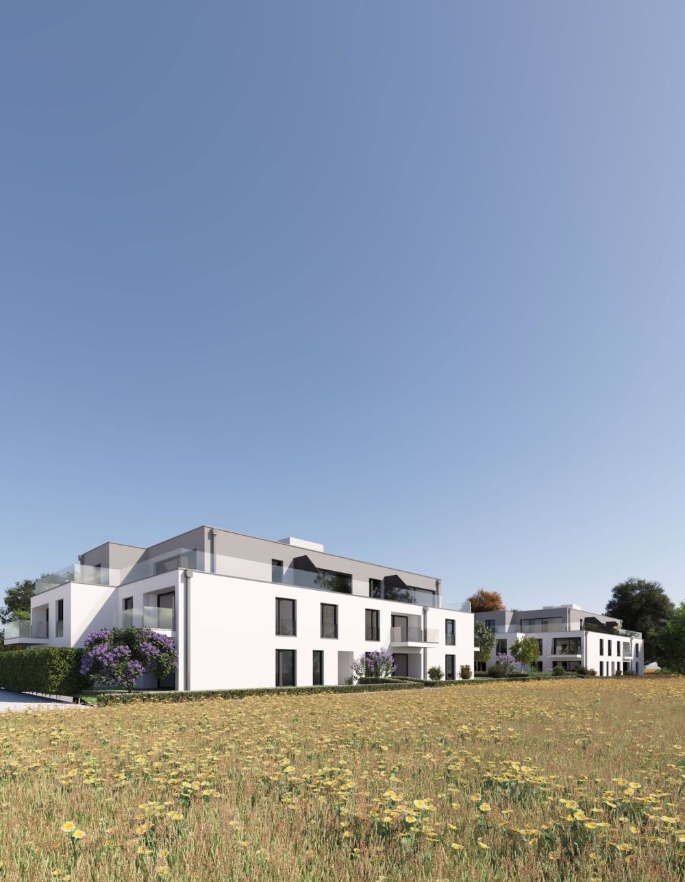 Appartement neuf de 3,5 pièces à Erlach - Bild 5