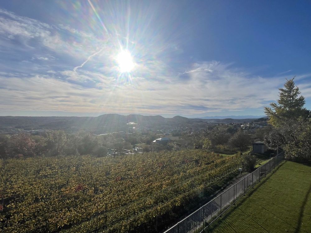 NEUES UND AUSSERGEWÖHNLICHES 3.5-ZIMMER-APARTMENT MIT BEZAUBERNDEN AUSBLICK - Bild 1
