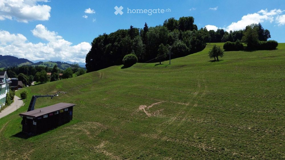 Neubau Einfamilienhaus mit Weitblick auf den Säntis – grosszügig, nachhaltig, mitgestaltbar - Bild 7
