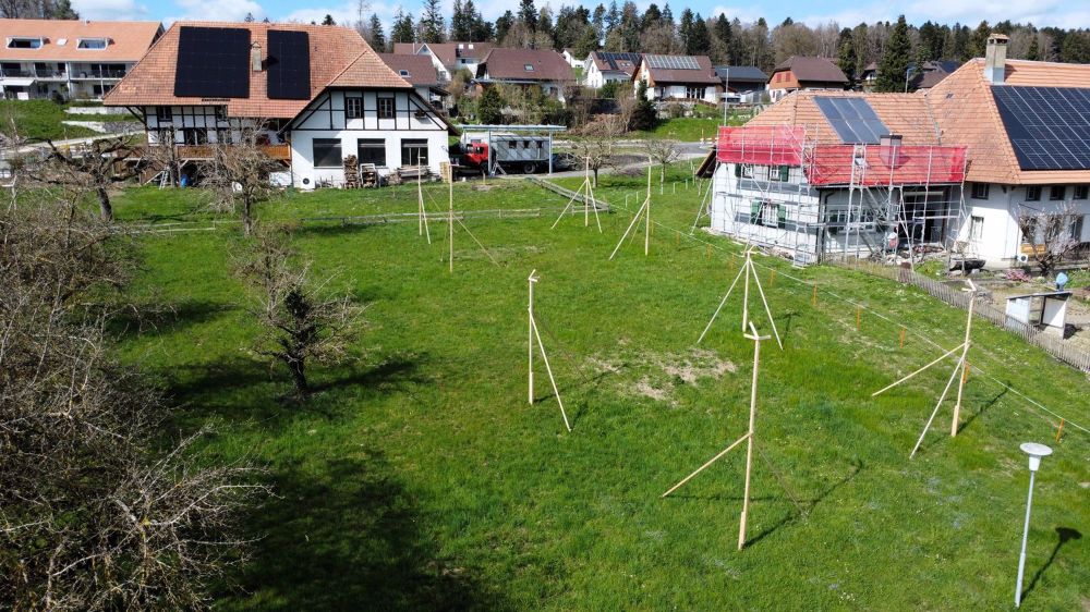 Ihr neues Zuhause im Grünen – Moderne Einfamilienhäuser im Buechibärg - Bild 2