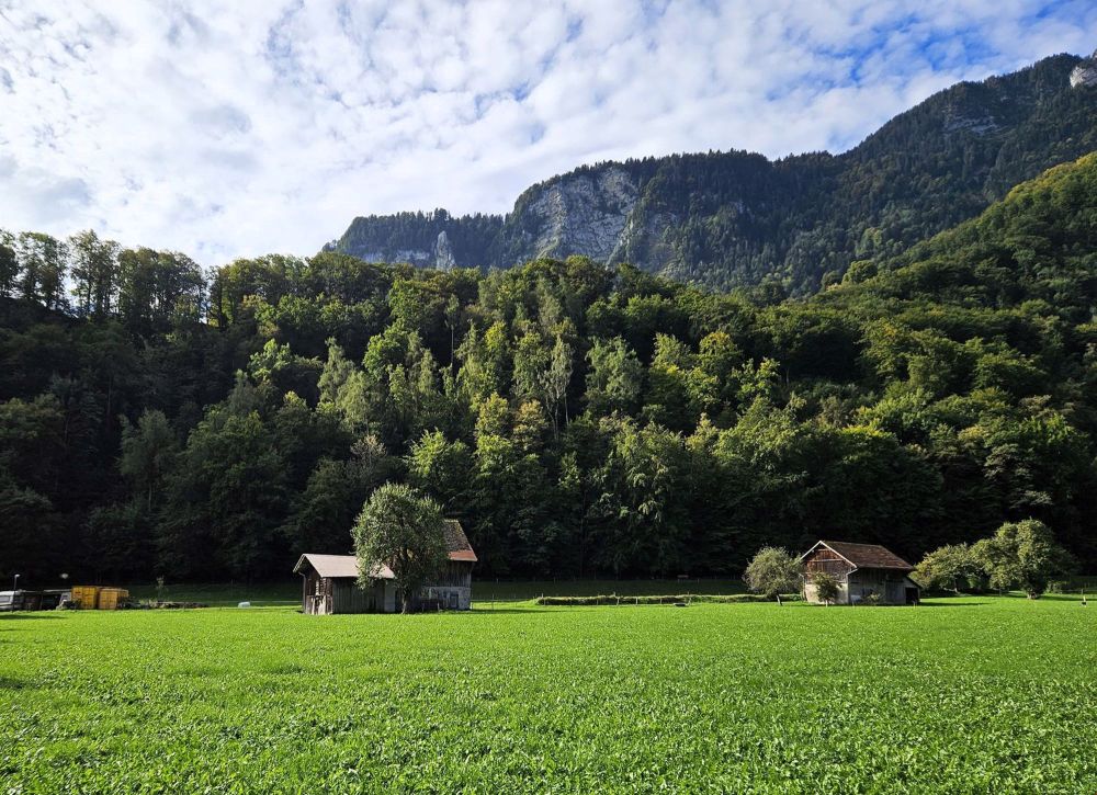 5 Zimmer-Doppel-Einfamilienhaus - Bild 4