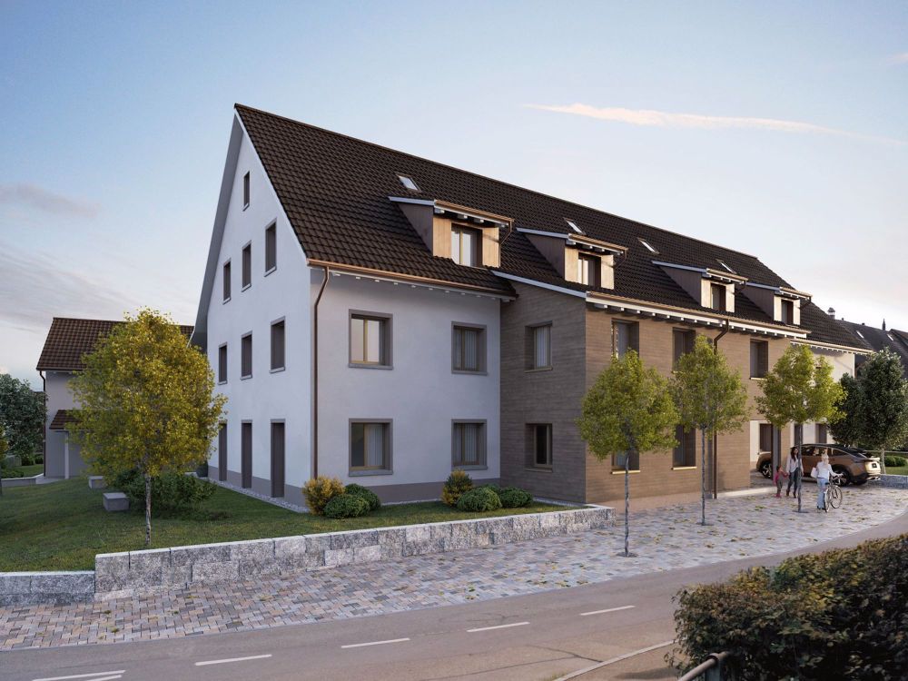 Einfamilienhaus, Doppeleinfamilienhaus und Mehrfamilienhaus in Boswil - Bild 4