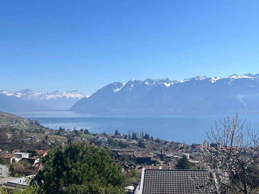 Villa in Lutry mit atemberaubendem Blick auf den See und die Berge - Bild 3