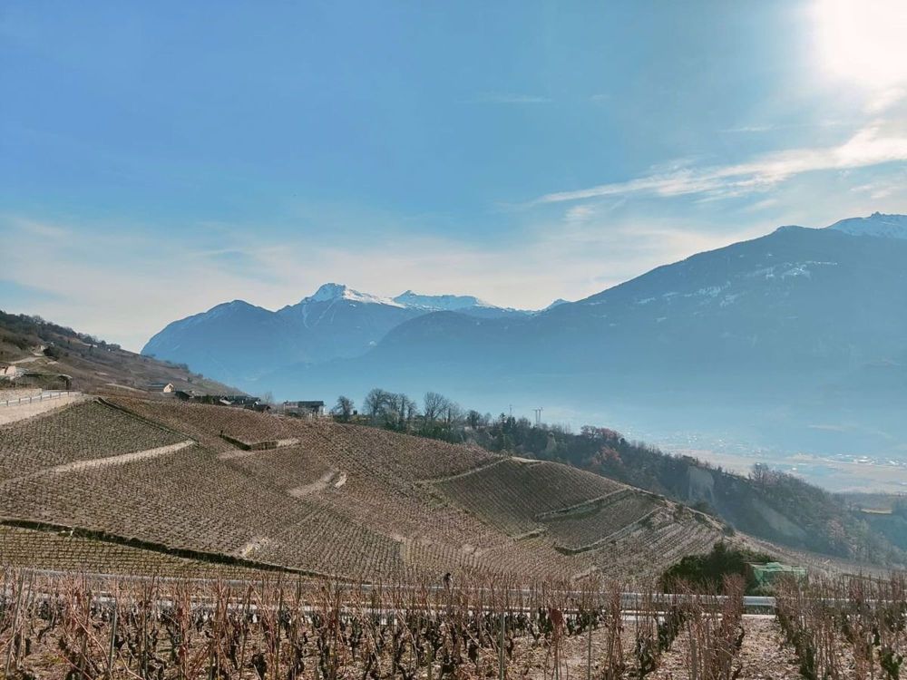 Magnifique Villa individuelle avec vue imprenable à Lens (VS). - Bild 3