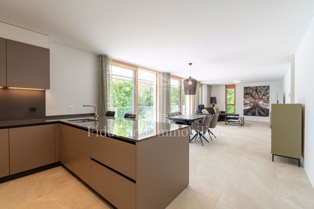 MINUSIO - Neubauwohnung mit grosszügigem Grundriss und moderner Architektur - Bild 1