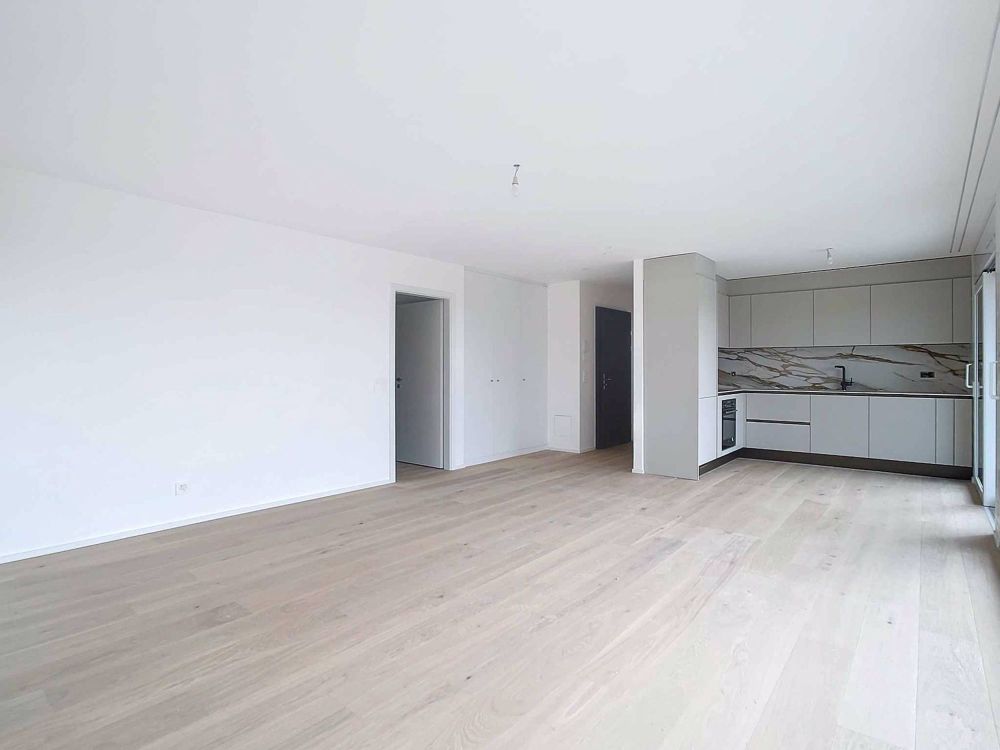 LETZTES WOHNUNGSPAKET: Neues MINERGIE-Attikapartment mit Panoramablick - Bild 3