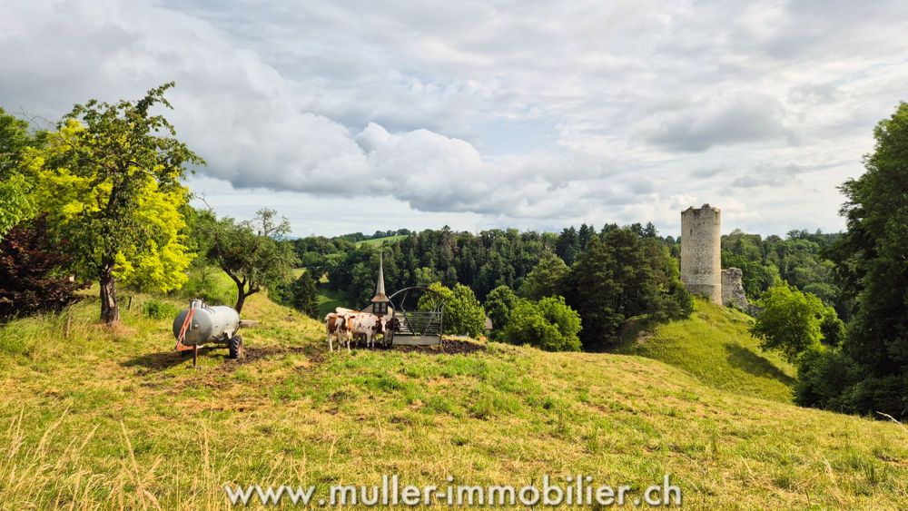 Neue Halb-Einfamilien-Villa mit Garten in den Höhen von Payerne - Bild 13
