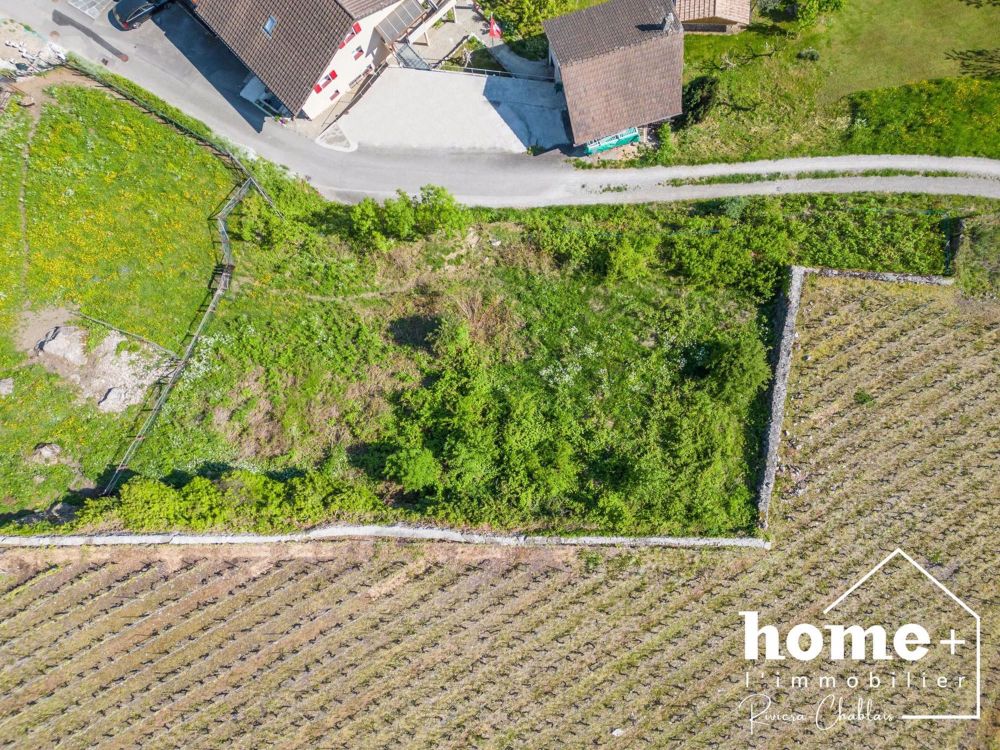 Appartement de 2,5 pièces au rez avec jardin privatif - Bild 3