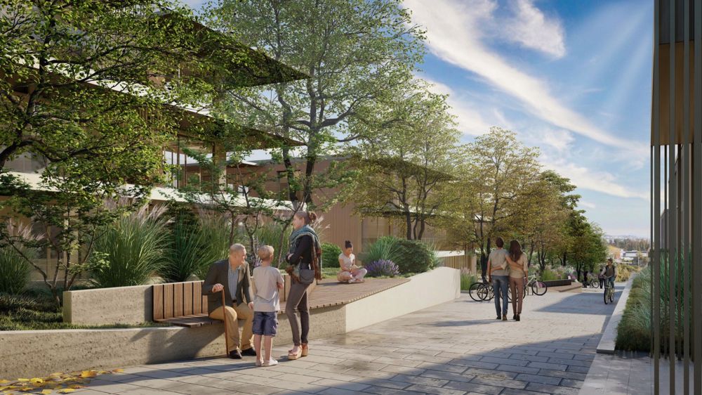 Das Große Feld - Bild 2