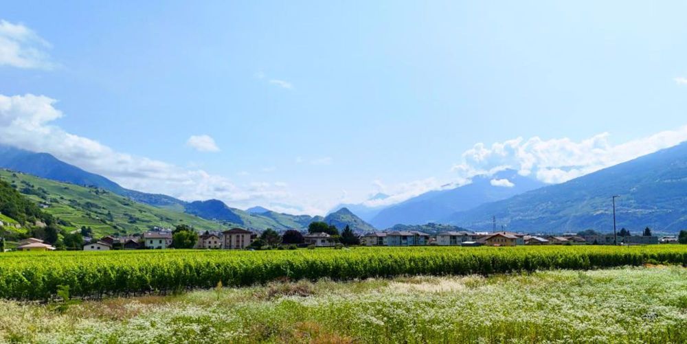 Ihre Villa in Vétroz: Werden Sie Eigentümer Ihrer individuellen Villa in Vétroz ab CHF 768.- pro Monat* - Bild 5