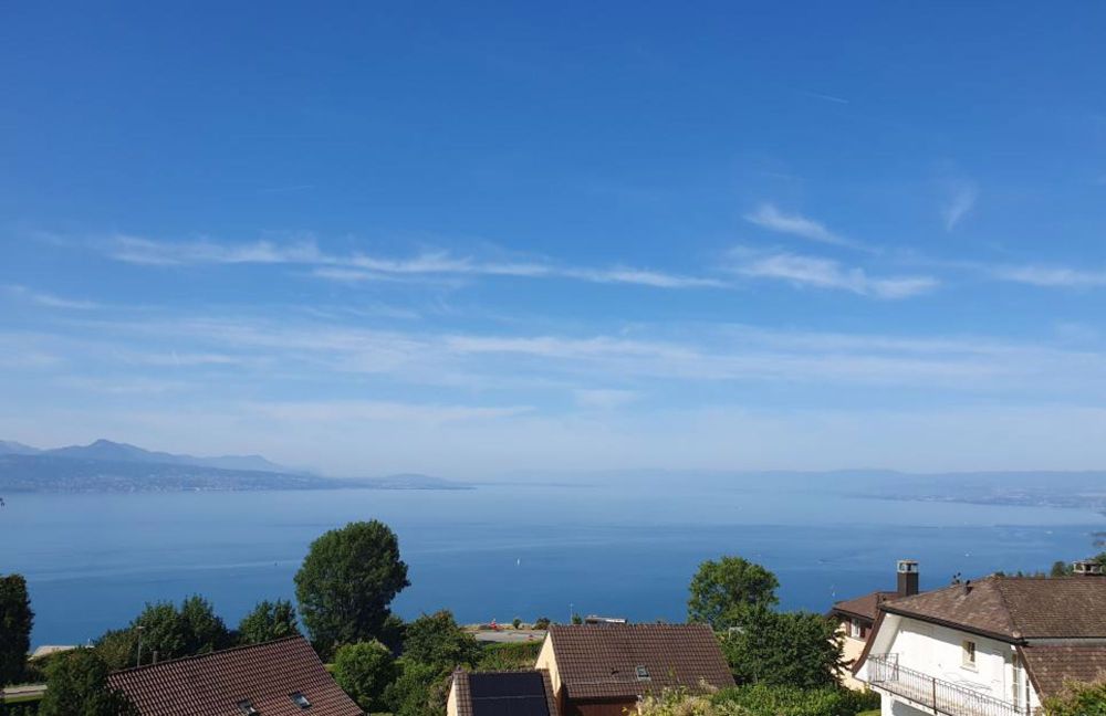 Schöne Aussicht auf den See - mit Terrasse und Garten - Bild 3