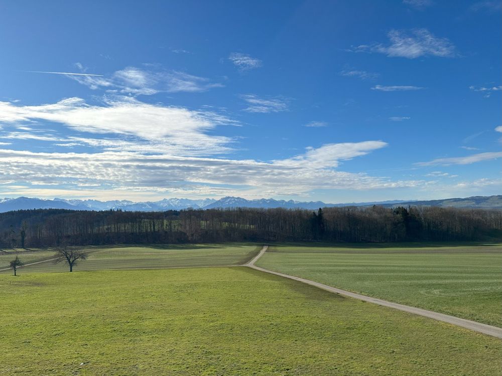 Grosszügige 3.5 Zimmer-Wohnung mit wundervoller Aussicht auf das Bergpanorama -  Bild 13