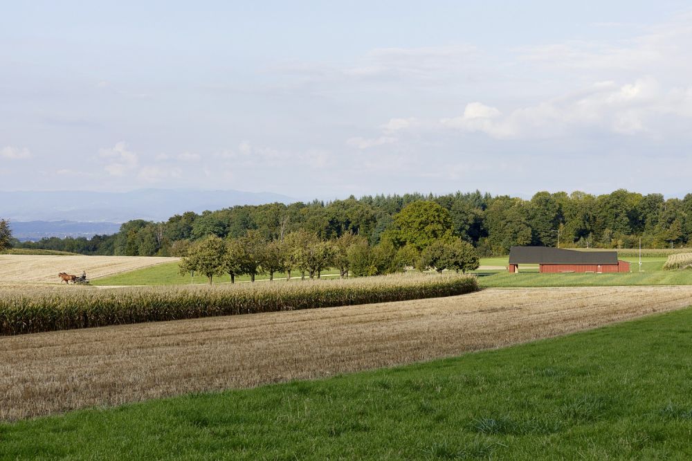 Nachhaltiges und natürliches Wohnen im Dorfzentrum von Schönenbuch -  Bild 3
