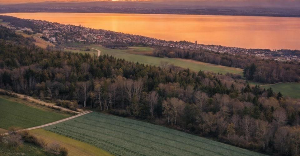 NOUVELLE PROMOTION - Appartements neufs avec terrasses et vue panoramique sur le lac - Appartement 3.5 pièces - image - 2