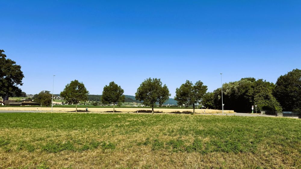 WALTPARK - Variabler Grundriss in 3.5 oder 4.5 Zimmer Variante möglich -  Bild 11