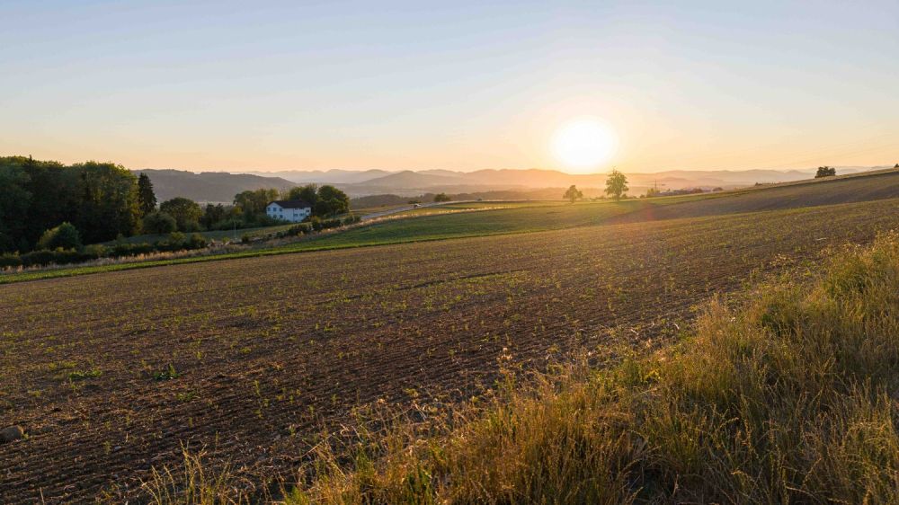 Natur. Weitsicht. Zuhause - LIORA in Remetschwil - Abendstimmung