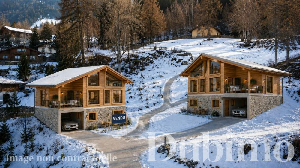 Chalet Plan Bochy, Mayens de Saxon - Le projet