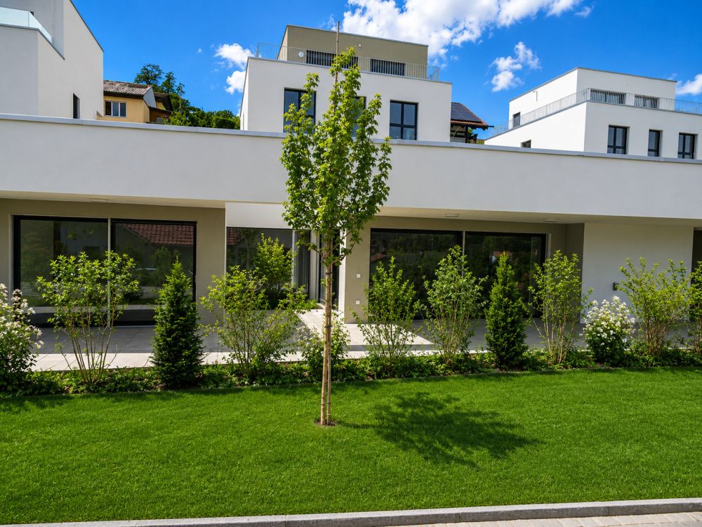 Letztes Verfügbares 4.5-Zimmer Terrassenhaus an ruhiger Lage -  Bild 3