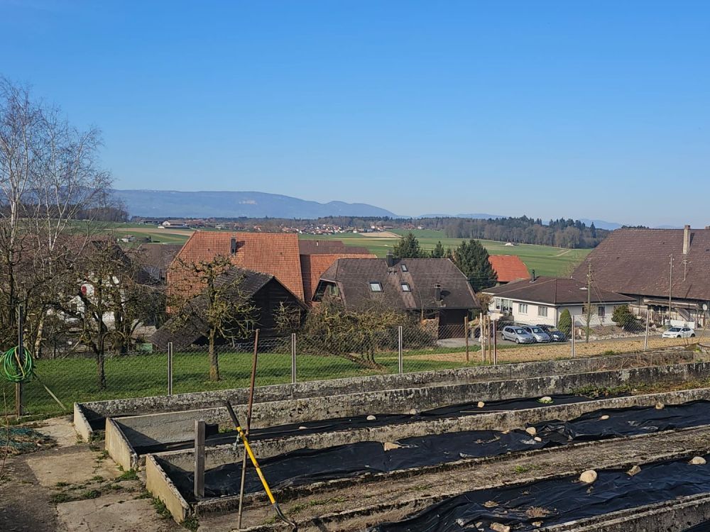 Wohntraum an ruhiger Lage | vier freistehende EFH - Bild 4