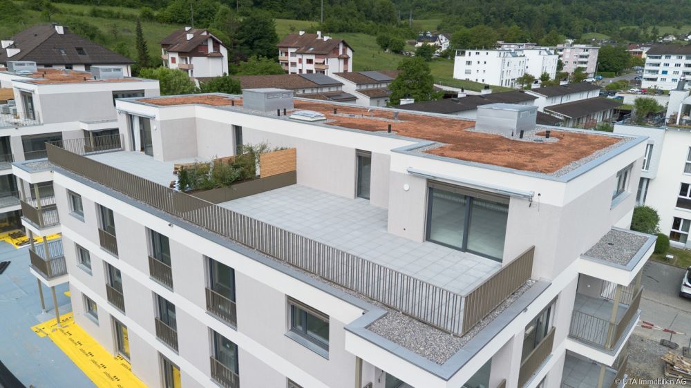 2.5- Zimmer-Neubau-Attikawohnung mit traumhafter Terrasse, sofort bezu - Luftaufnahme