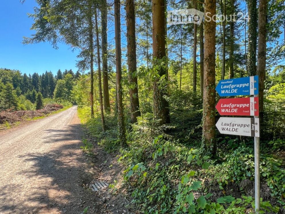 Ruedertalblick - Zuhause ankommen, Natur und Geborgenheit erleben -  Bild 5
