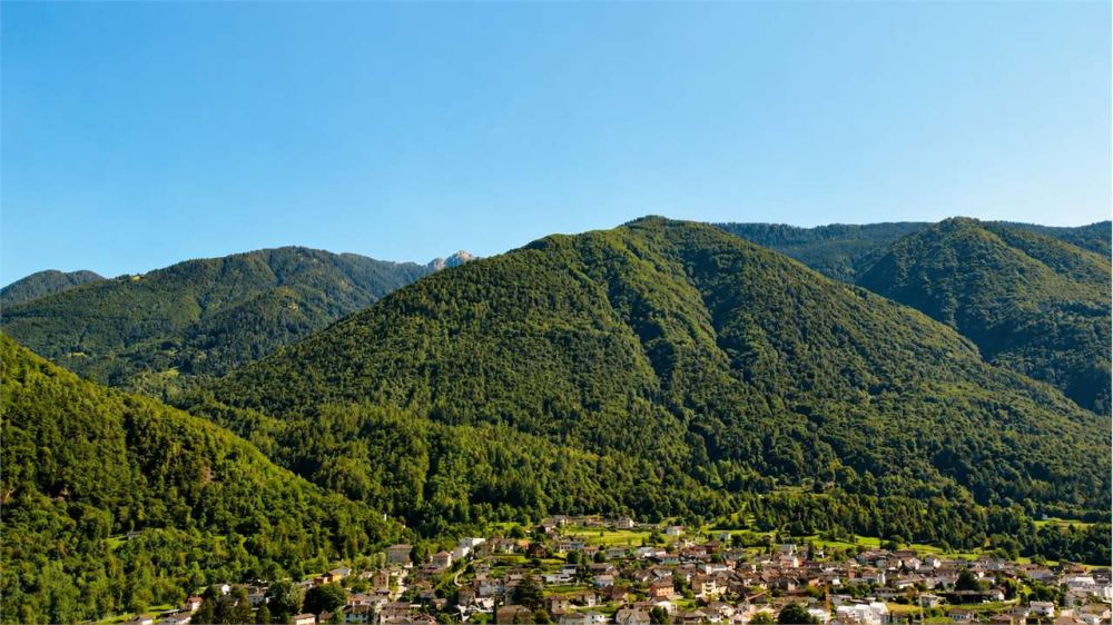 Roveredo (GR) - Appartamenti con giardino di prossima realizzazione -  Bild 5