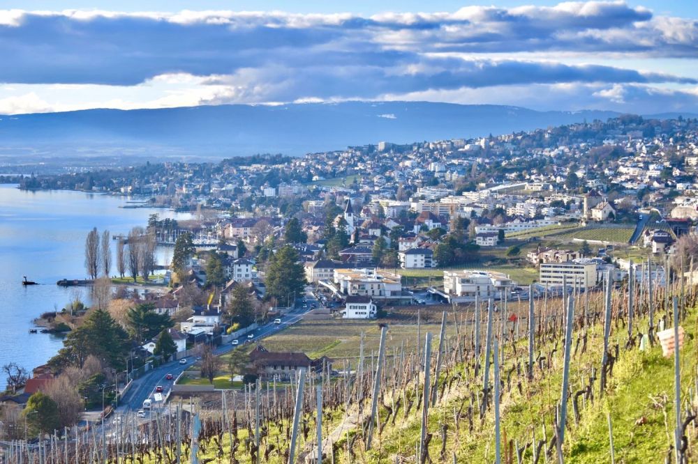 Moderne Wohnung mit spektakulärer Aussicht in Lavaux -  Bild 3