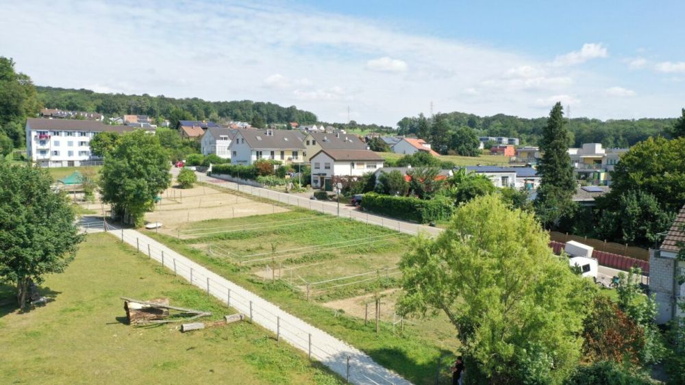 Sonnige 4.5 Zimmer Neubauwohnung mit Wintergarten -  Bild 6
