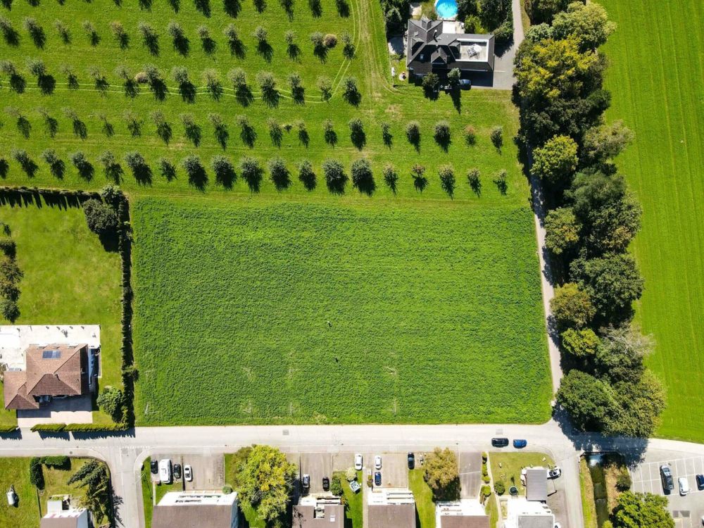 Freistehendes 6.5 Zimmer Einfamilienhaus - Grundstück