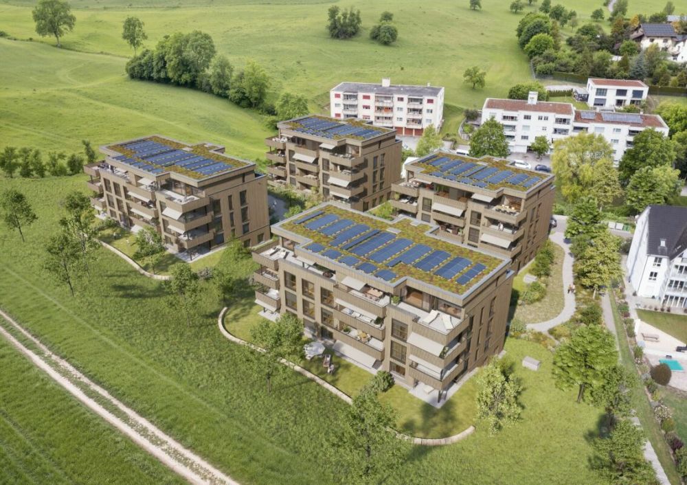 Ruhig - im Grünen - grosszügig - zeitgemäss -  Bild 2