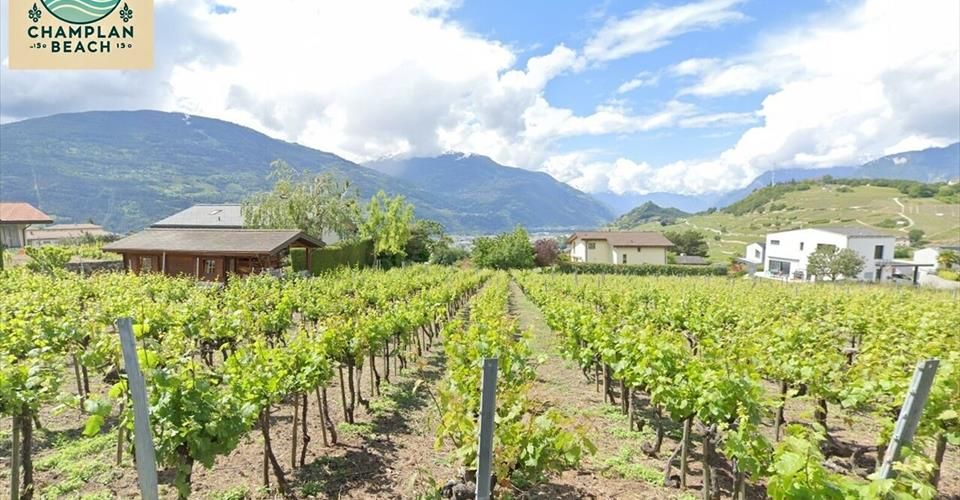 Dernière opportunité au sein de notre projet Champlan Beach - Villa 5.5 pièces - image - 1