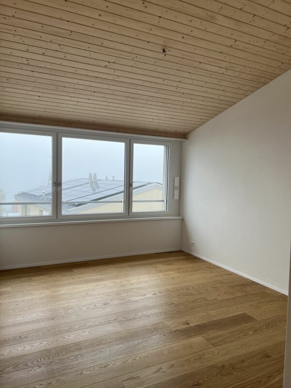 Luxusdachwohnung mit traumhafter Aussicht -  Bild 13