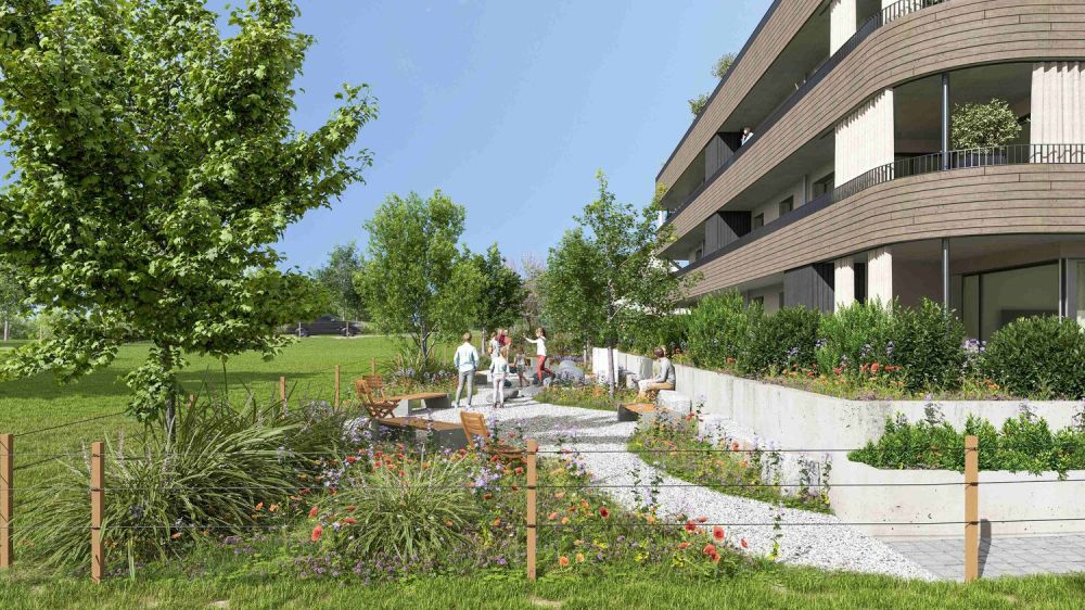 Moderne 4½-Zimmer-Wohnung mit sonniger Terrasse -  Bild 3