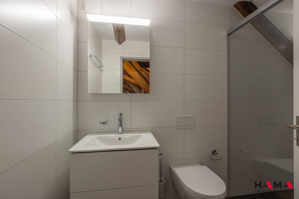 FRÜHLINGSAKTION 1. NETTOMIETZINS GRATIS 5.5-Zimmer-Loft-Wohnung mit Balkon -  Bild 9